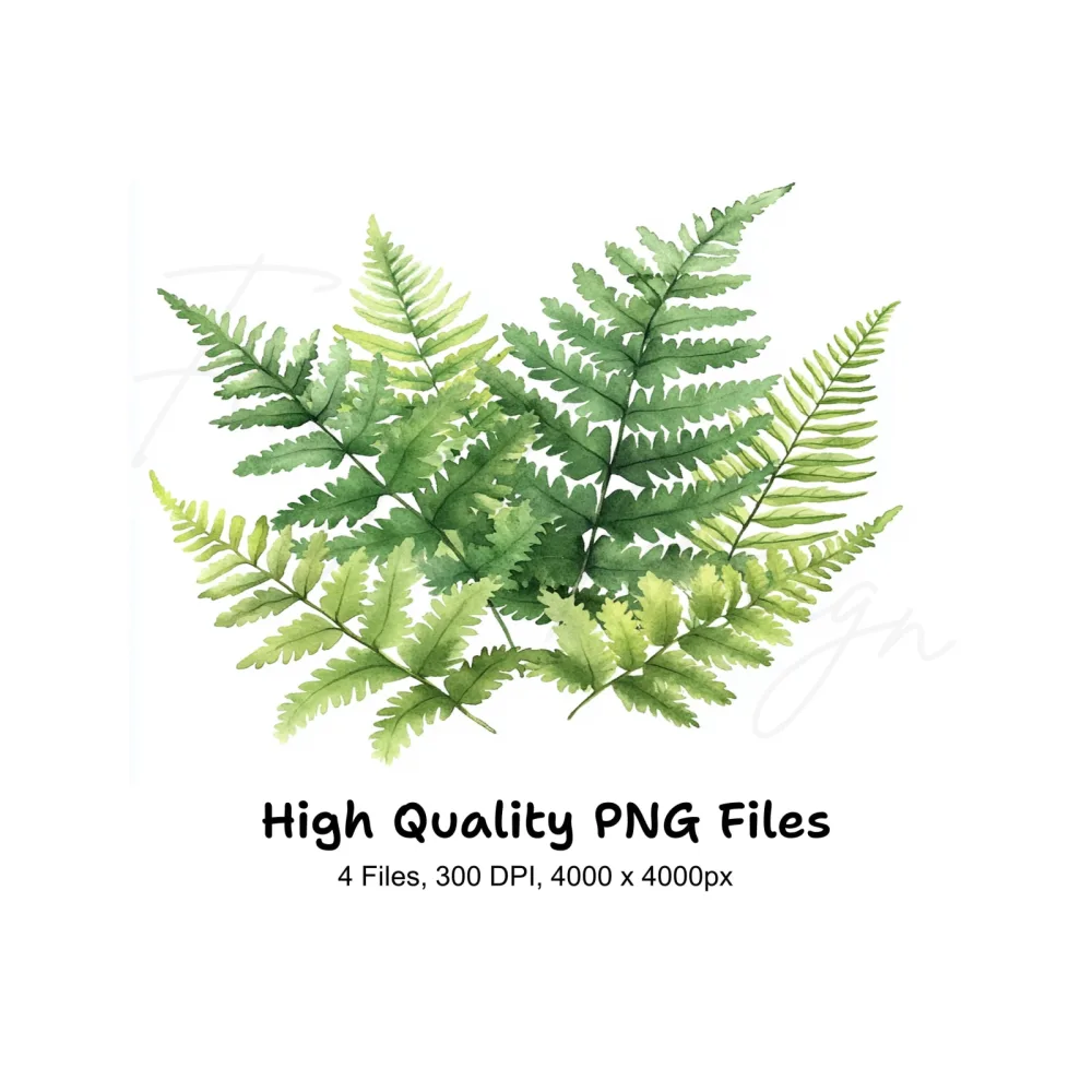 Fern Leaves Clipart Bundle