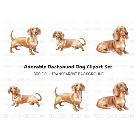 Adorable Dachshund Clipart Bundle