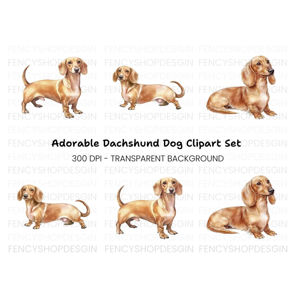 Adorable Dachshund Clipart Bundle