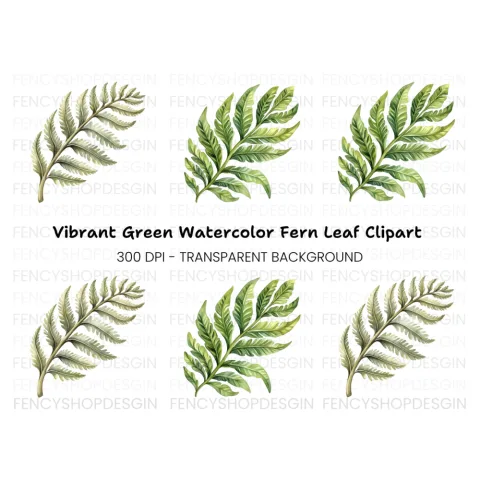 Fern Leaves Clipart Bundle
