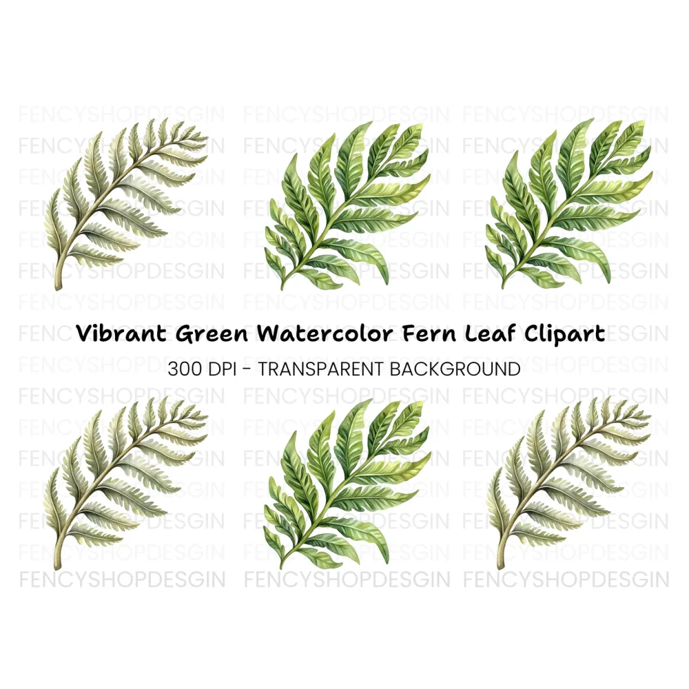 Fern Leaves Clipart Bundle