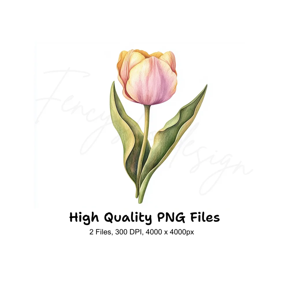 Orange Tulip Flower Clipart Bundle