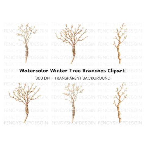Microscopic Fungi Spore Clipart Bundle