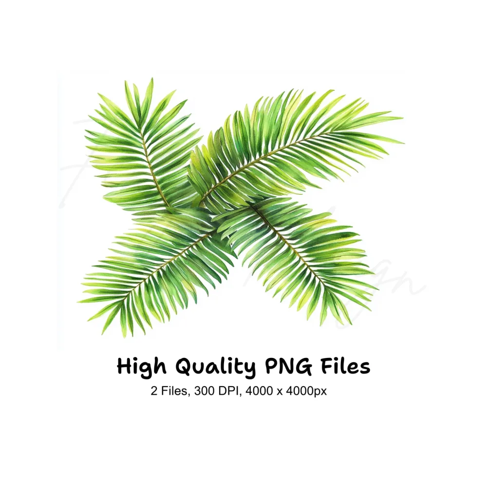Lush Green Palm Leaves Clipart Bundle