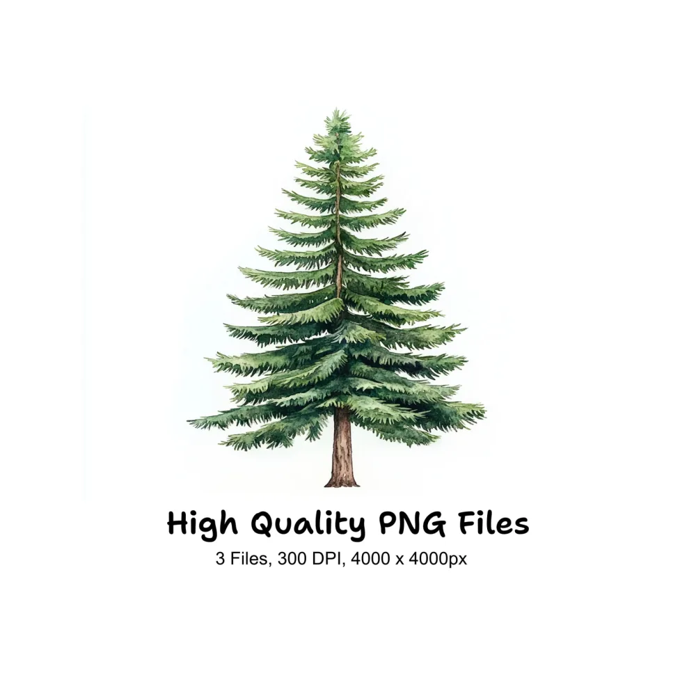 Realistic Pine Tree Clipart Bundle