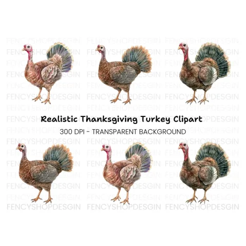 Thanksgiving Turkey Clipart Bundle