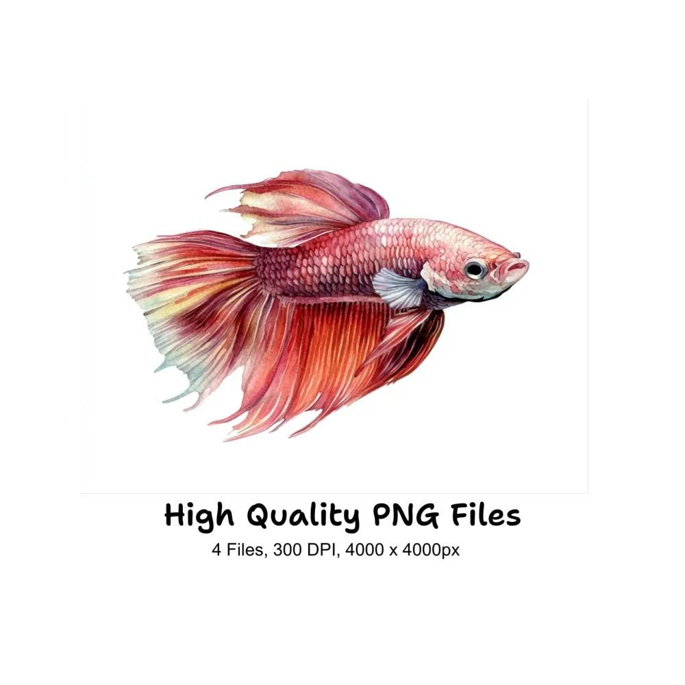 Betta Fish Clipart Bundle