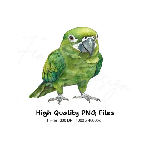 Green Parrot Clipart Bundle