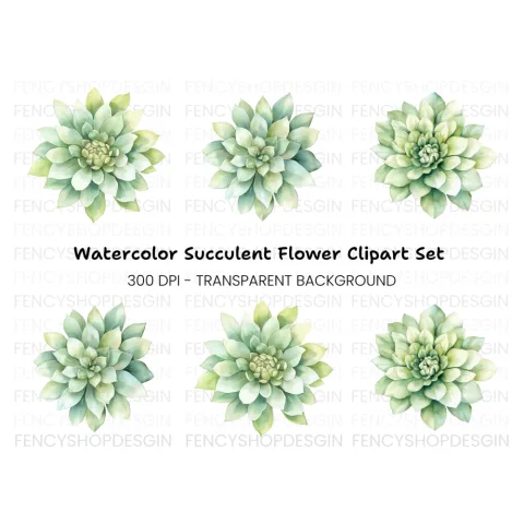 Succulent Clipart Bundle