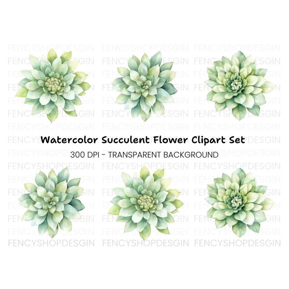 Succulent Clipart Bundle