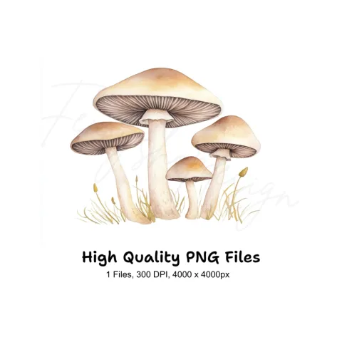 Forest Fungi Clipart Bundle