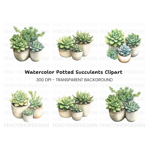 Succulent Plant Clipart Bundle