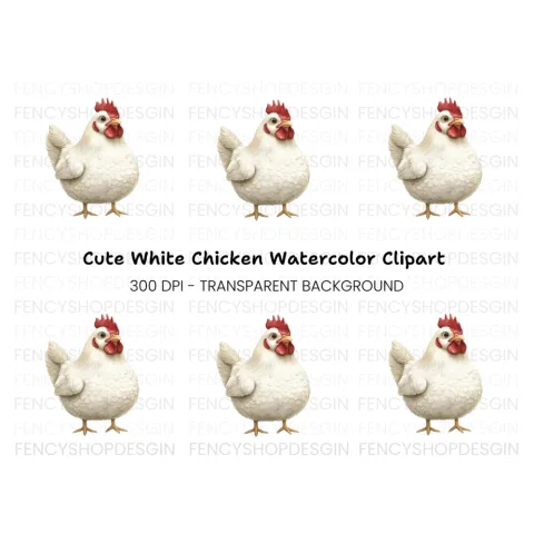 Cute White Hen Illustration Clipart Bundle