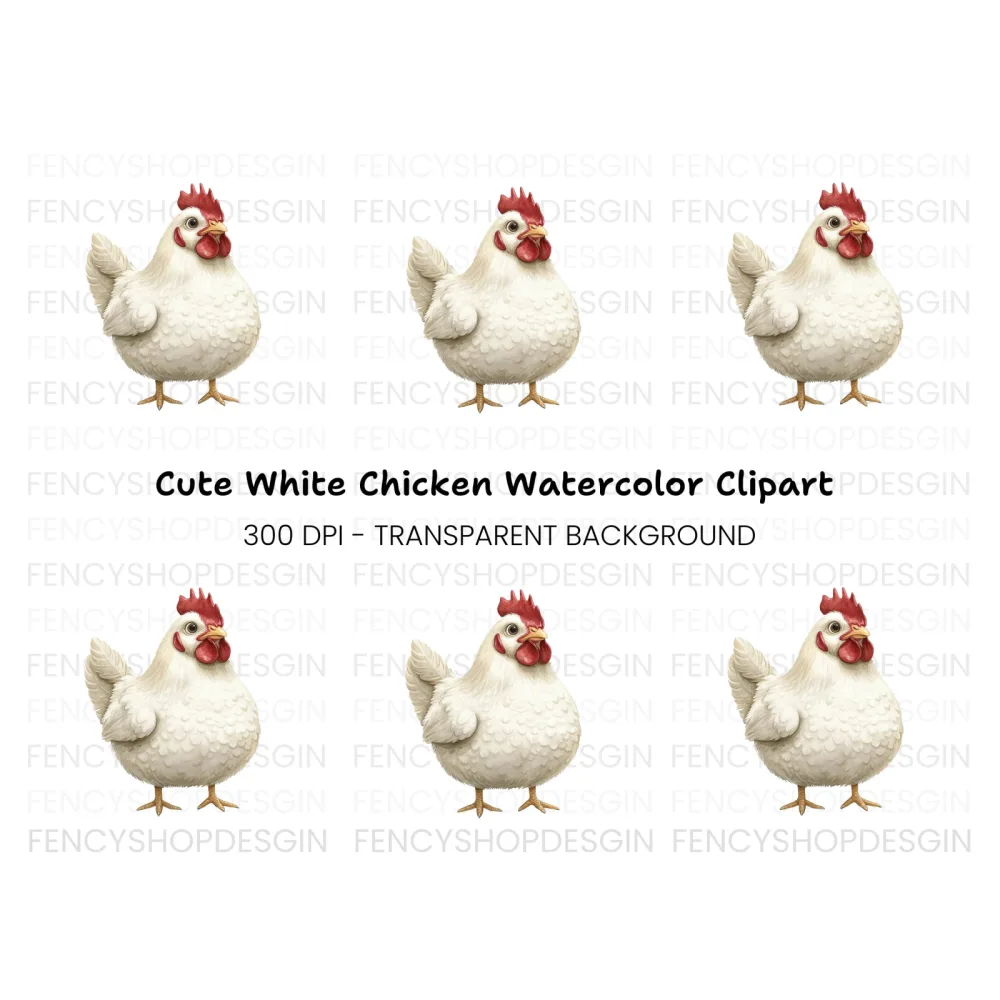 Cute White Hen Illustration Clipart Bundle