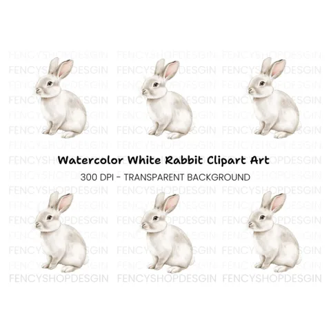 Cute White Bunny Rabbit Clipart Bundle