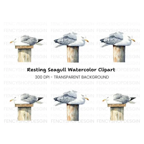 Sleeping Seagulls on Wooden Posts Clipart Bundle