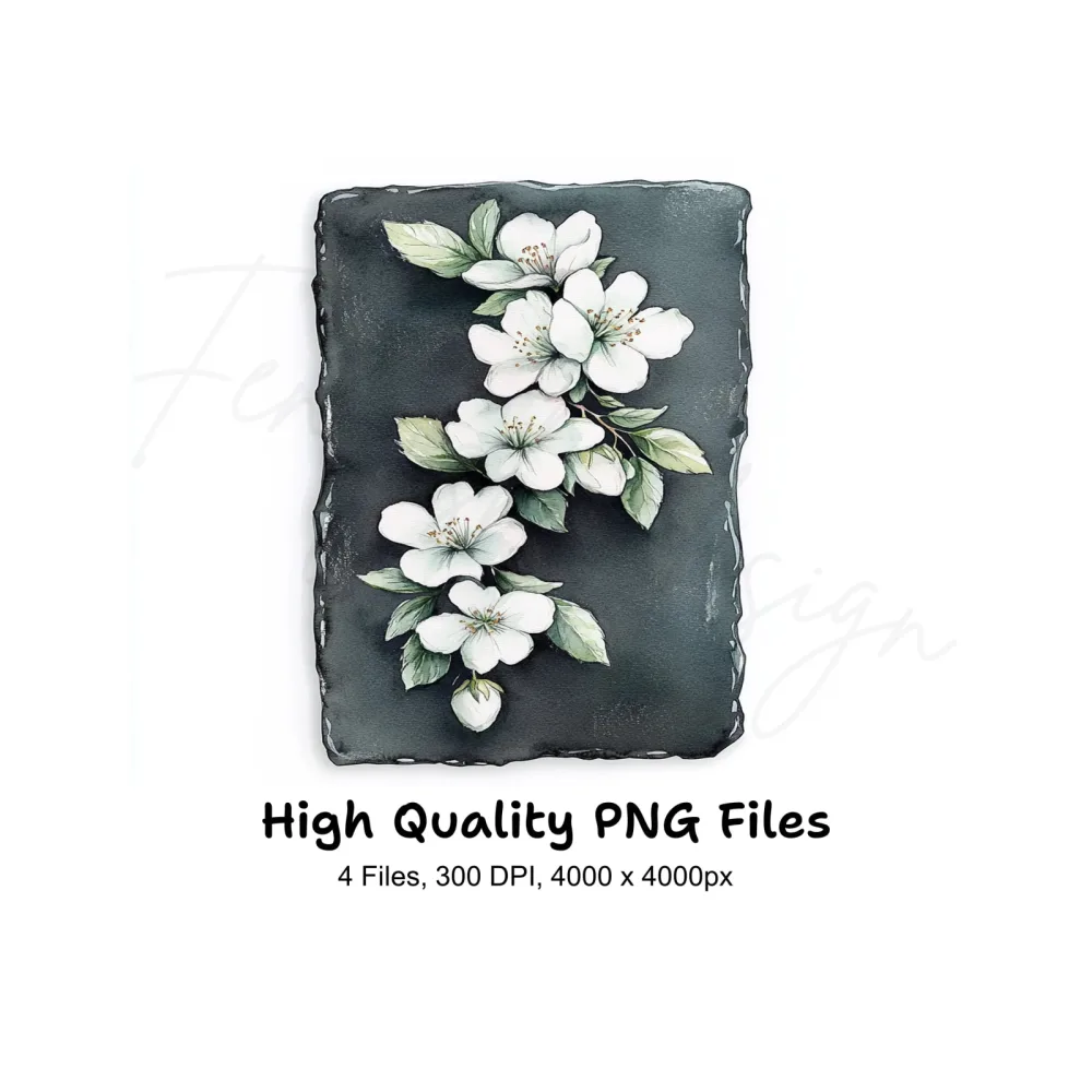 Elegant White Flowers on Slate Clipart Bundle