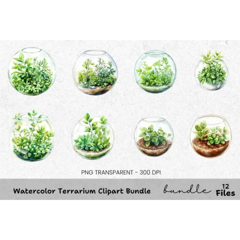 Terrarium Clipart Bundle