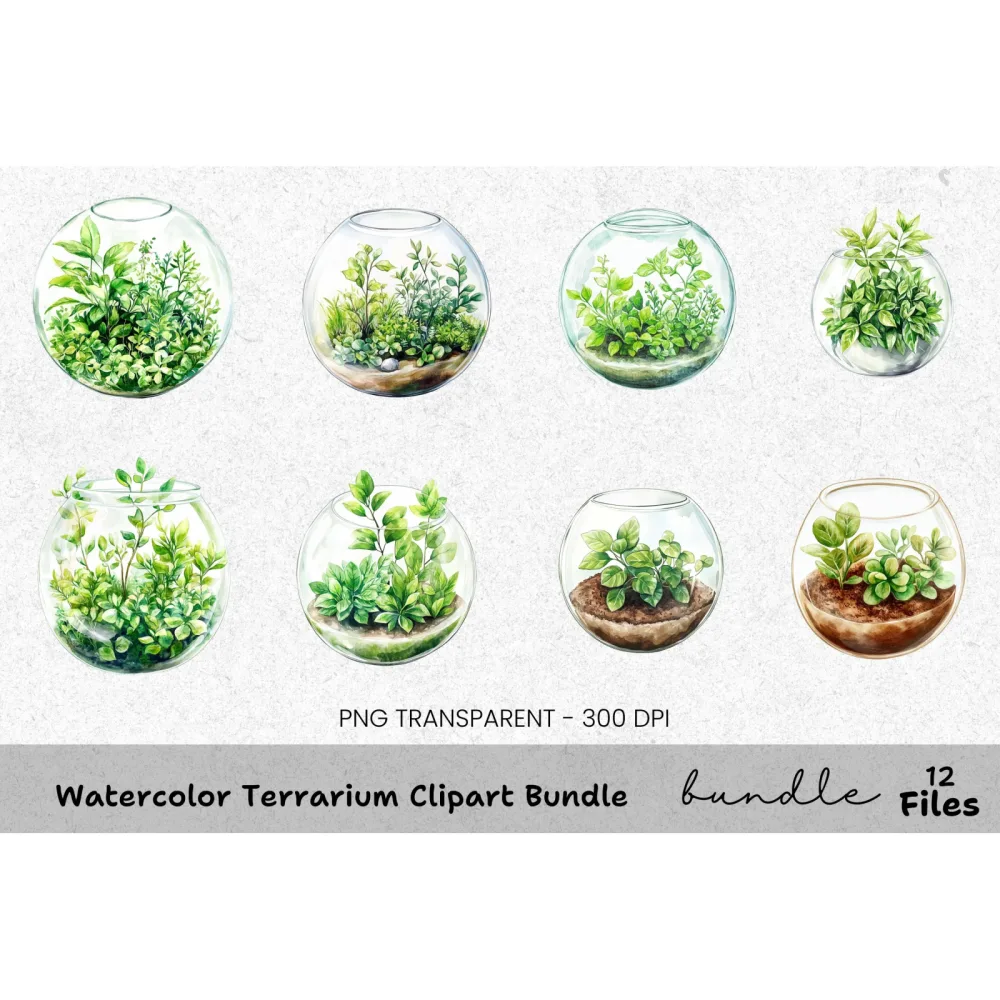 Terrarium Clipart Bundle