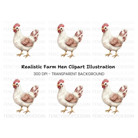 White Chicken Clipart Bundle