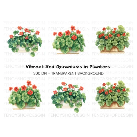 Geraniums in Pots Clipart Bundle
