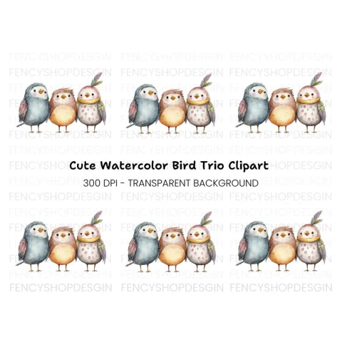 Cute Birds Clipart Bundle