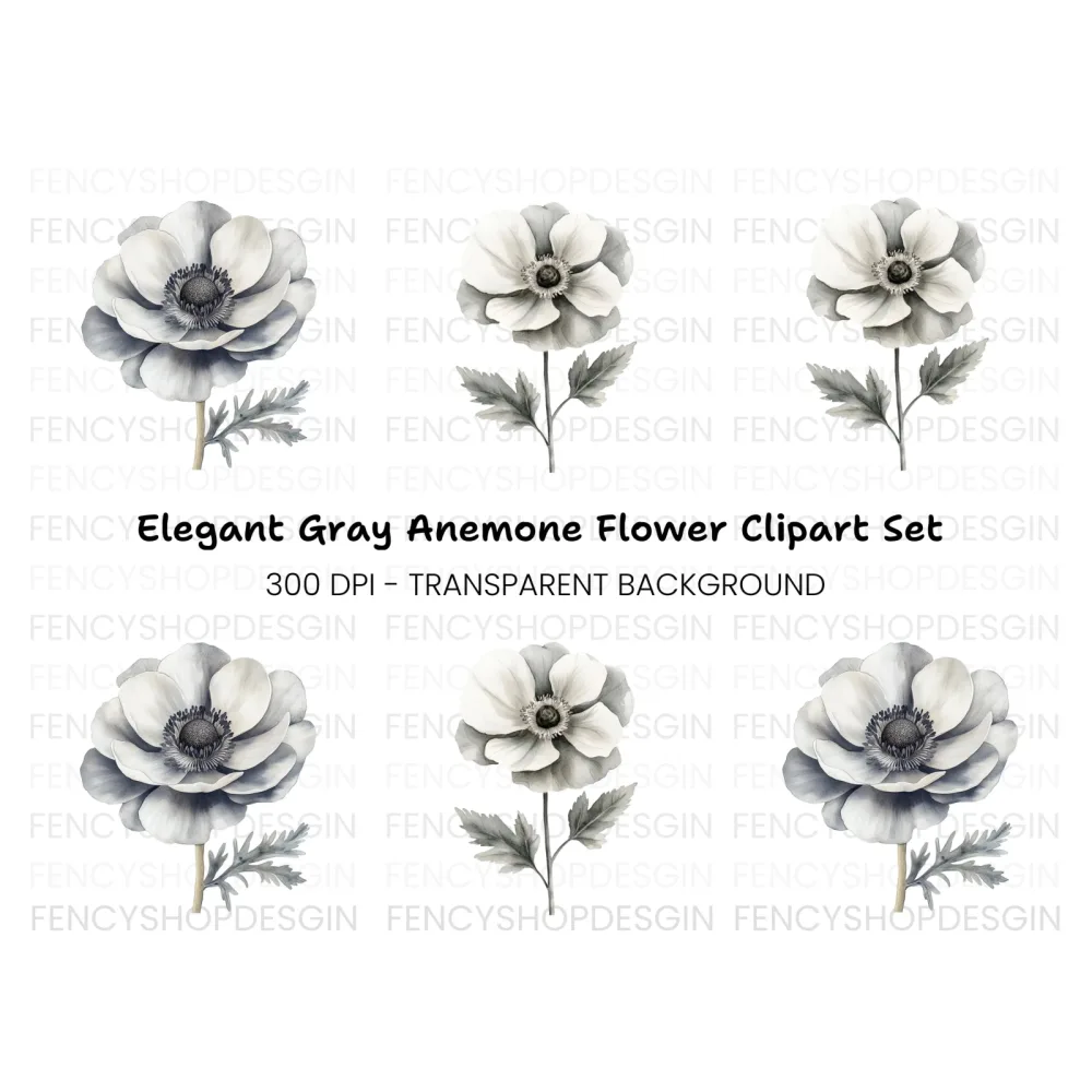 Elegant Anemone Flower Clipart Bundle