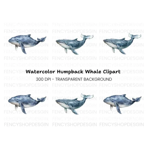 Blue Whale Clipart Bundle