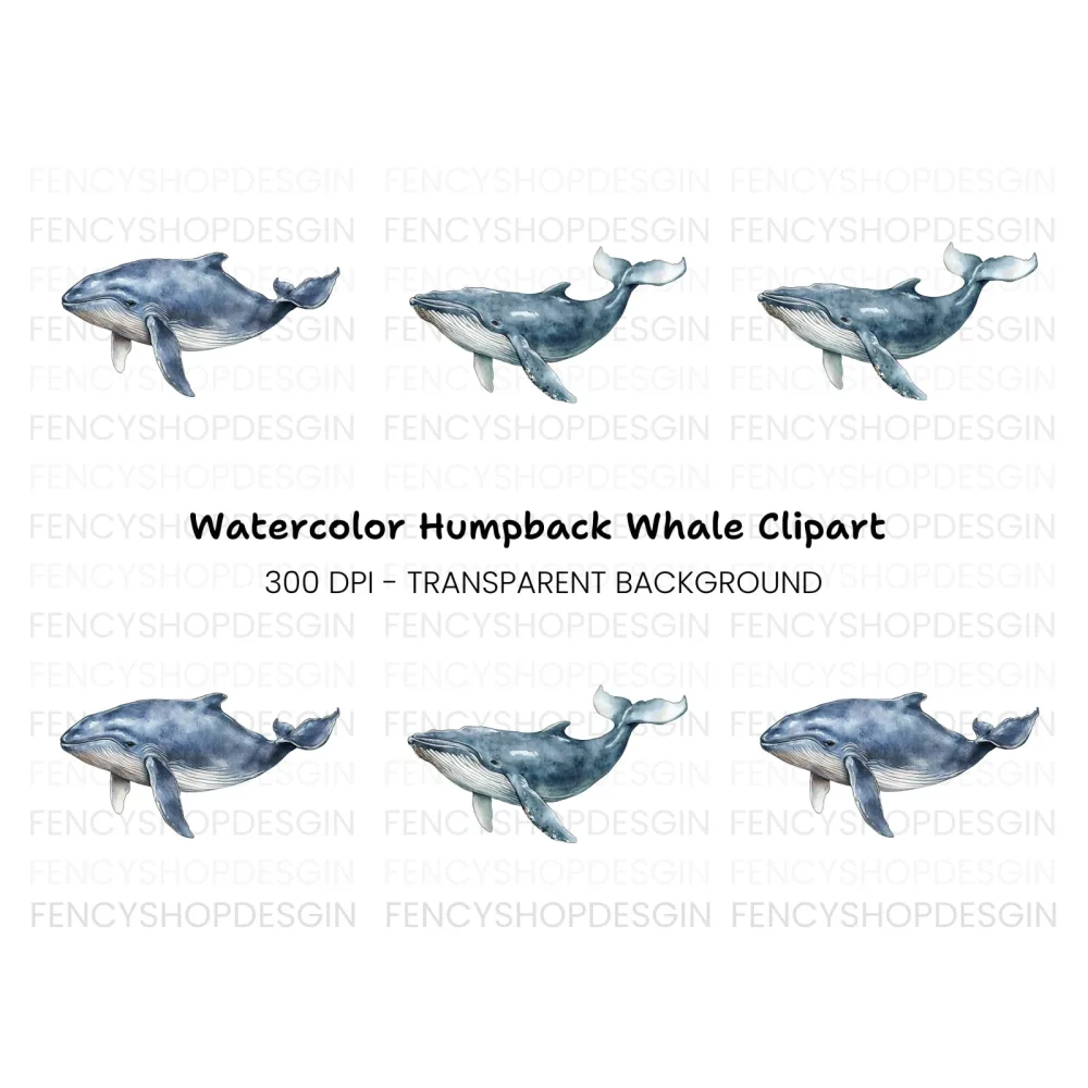 Blue Whale Clipart Bundle