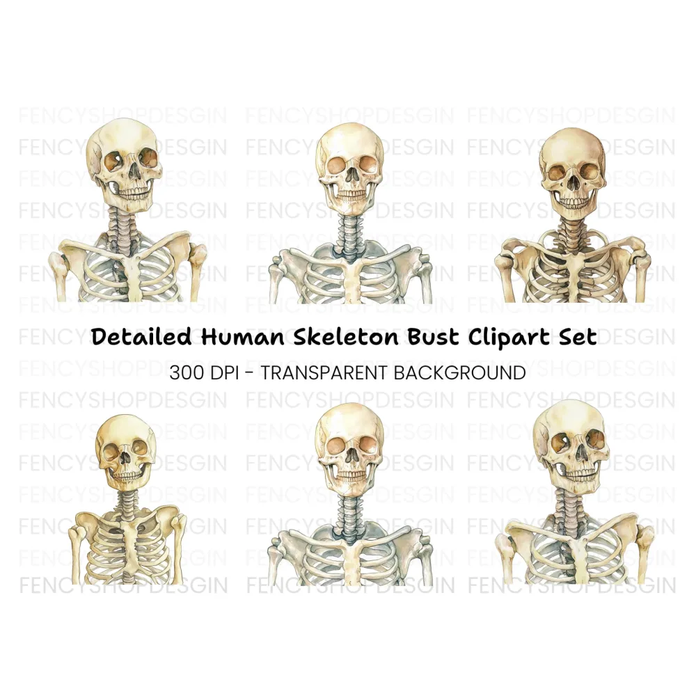 Human Skeleton Clipart Bundle