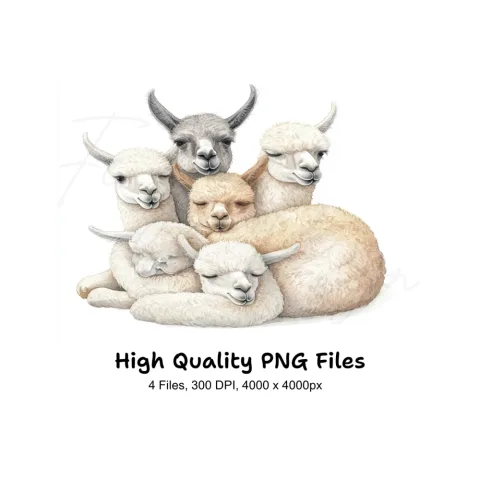 Cute Sleeping Baby Llamas Clipart Bundle