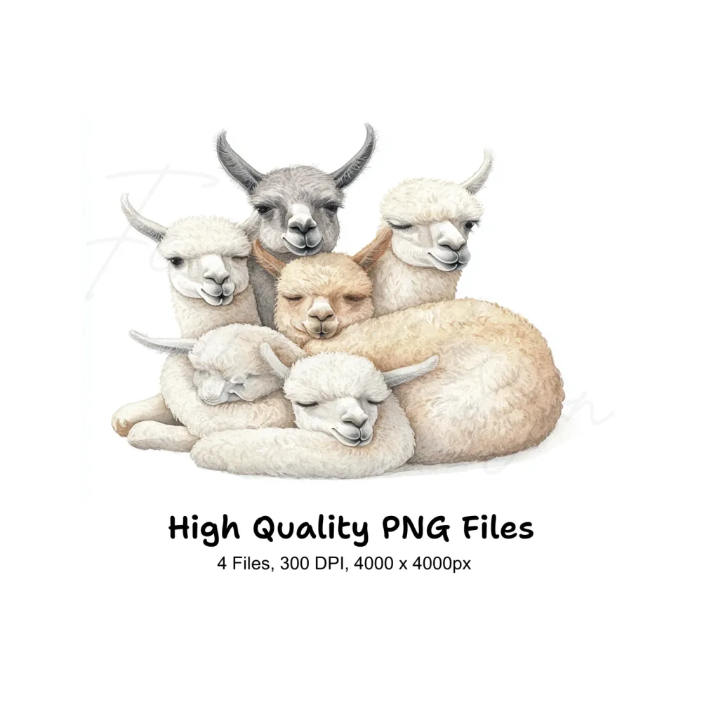 Cute Sleeping Baby Llamas Clipart Bundle