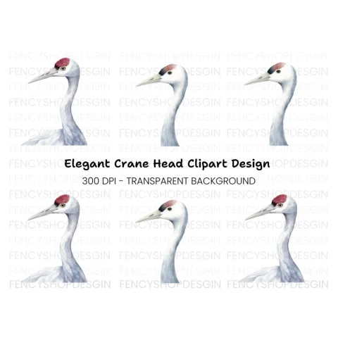 Elegant Crane Bird Head Clipart Bundle