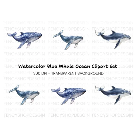 Whale Clipart Bundle for Creative Projects