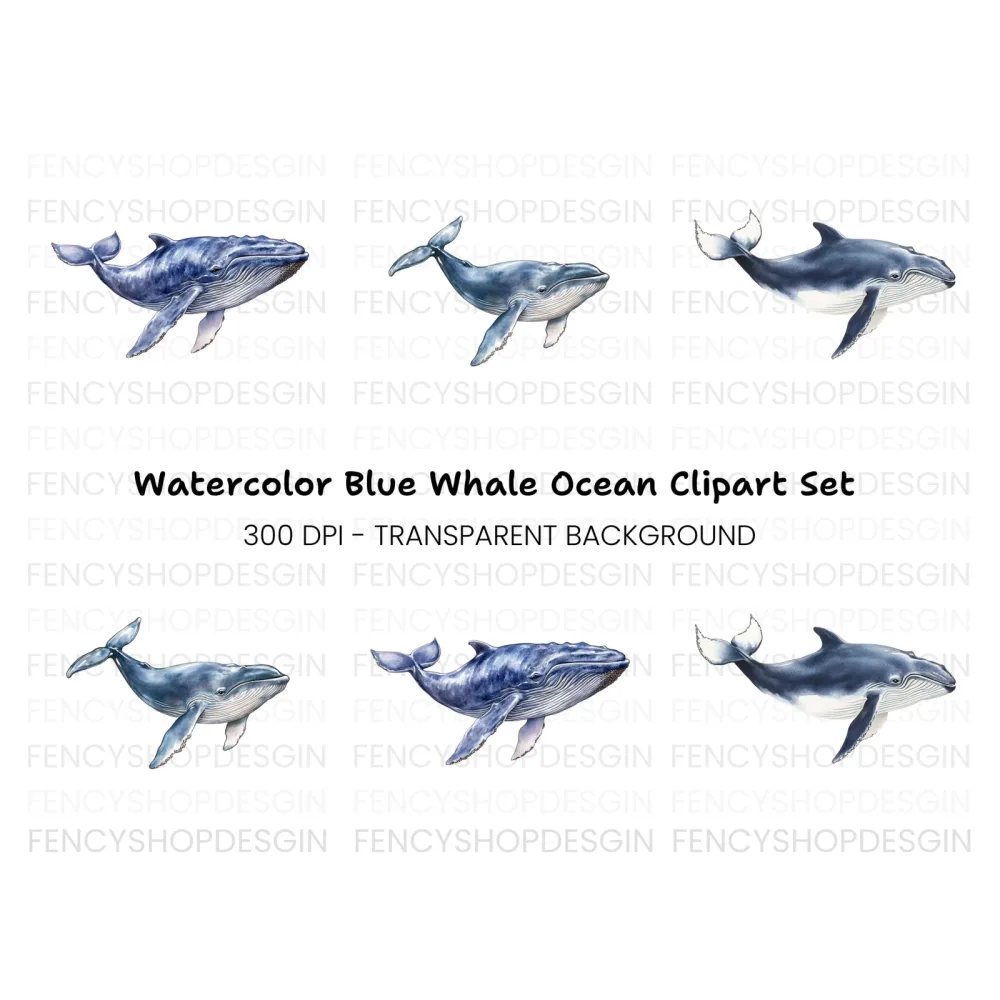 Whale Clipart Bundle for Creative Projects