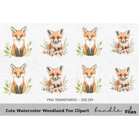 Cute Woodland Fox Clipart Bundle