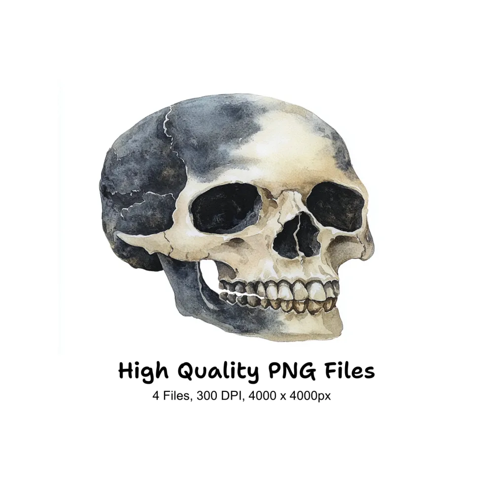 Side View Skull Clipart Bundle