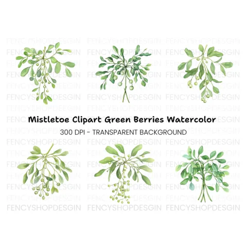 Mistletoe Clipart Bundle