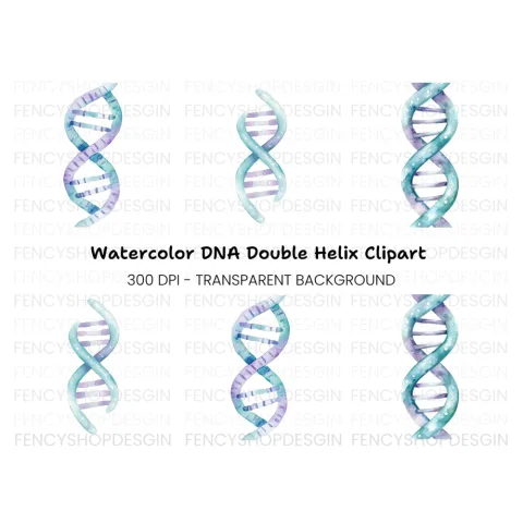 DNA Strands Clipart Bundle