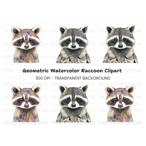 Cute Raccoon Faces Clipart Bundle