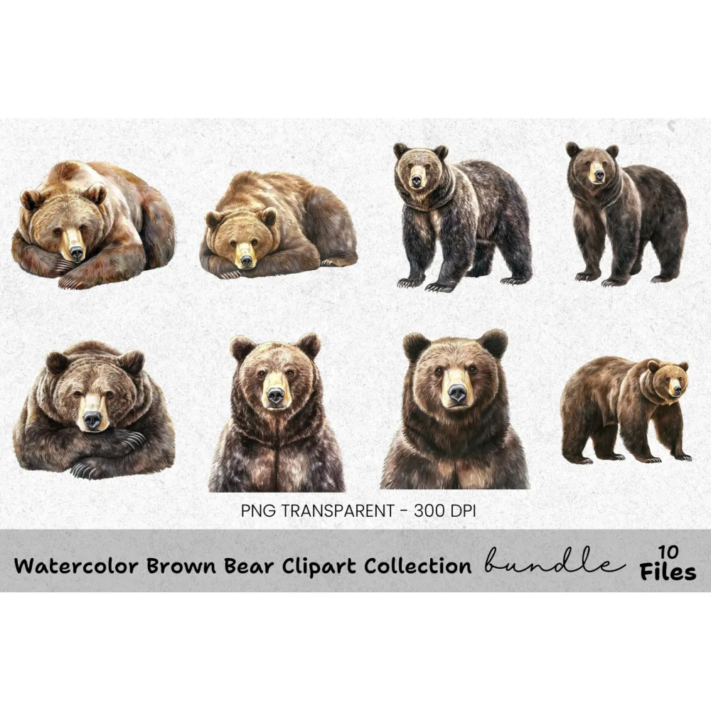Brown Bear Clipart Bundle