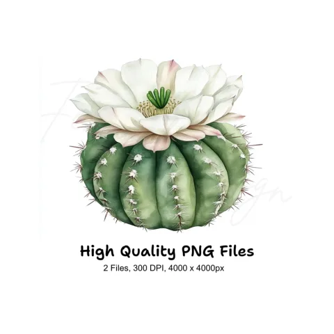 Barrel Cactus with White Flowers Clipart Bundle