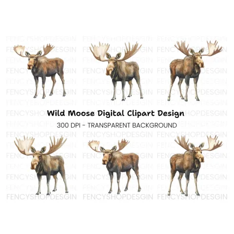 Three Moose Clipart Bundle