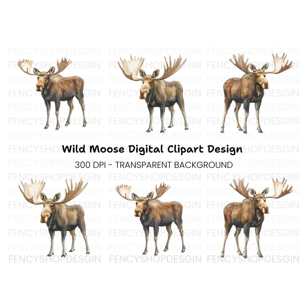 Three Moose Clipart Bundle