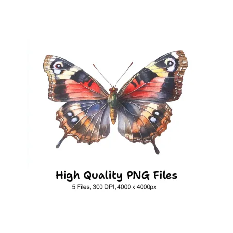 Peacock Butterfly Clipart Bundle