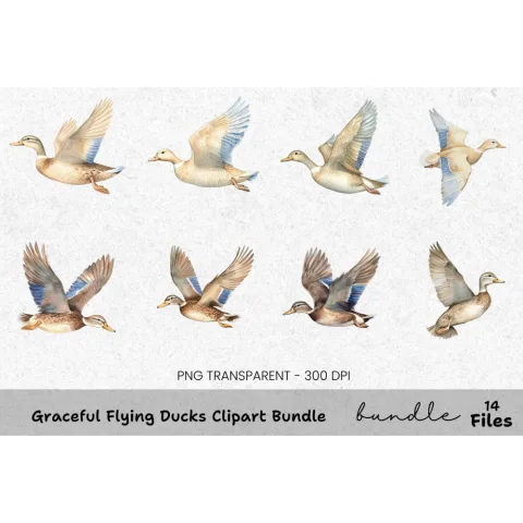 Graceful Flying Ducks Clipart Bundle