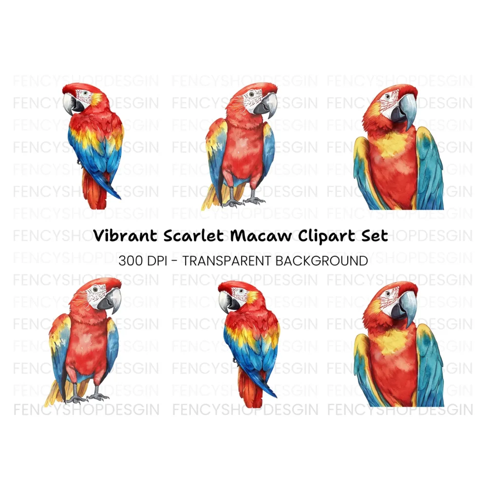 Vibrant Macaw Parrot Clipart Bundle