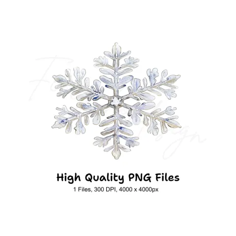 Snowflake Winter Clipart Bundle
