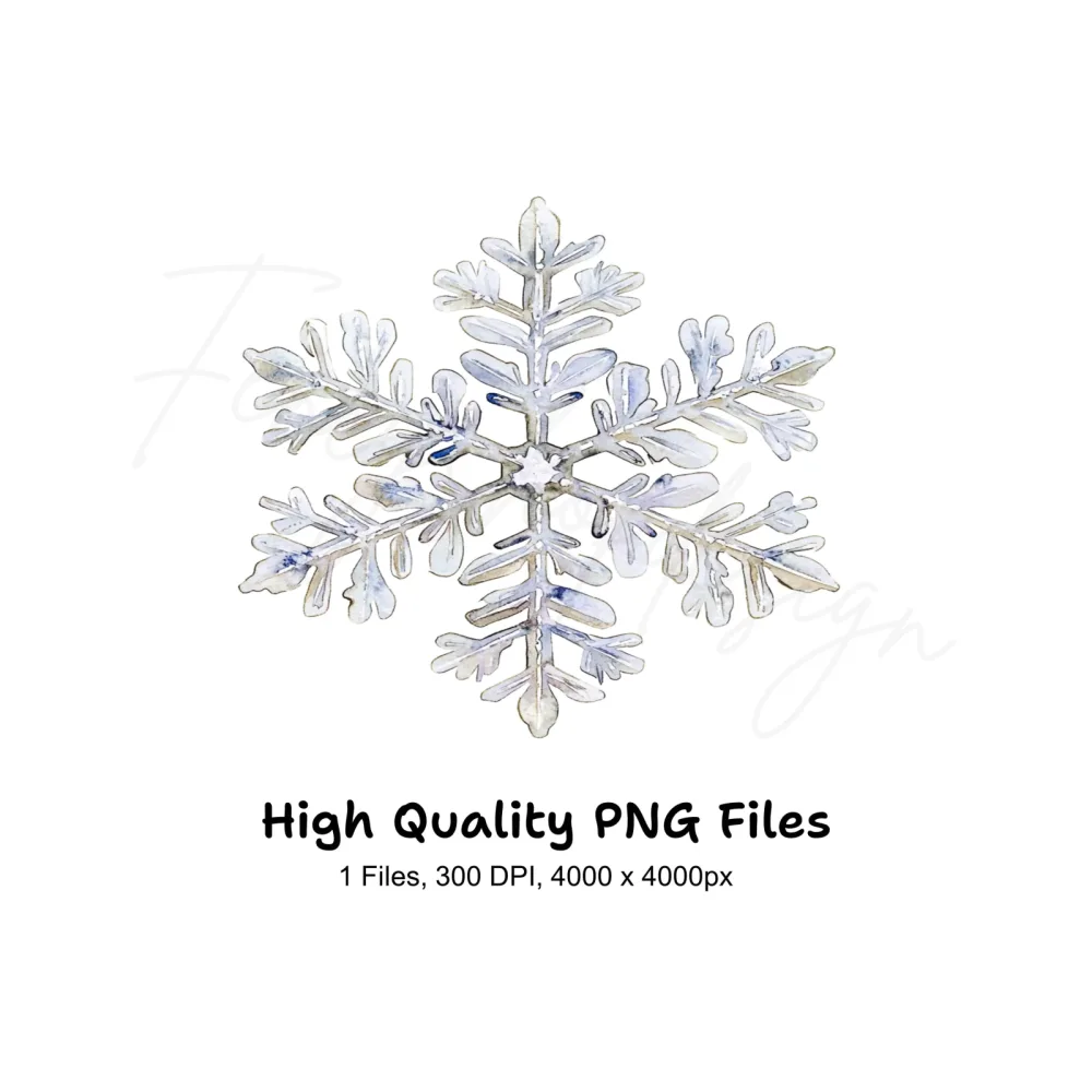 Snowflake Winter Clipart Bundle