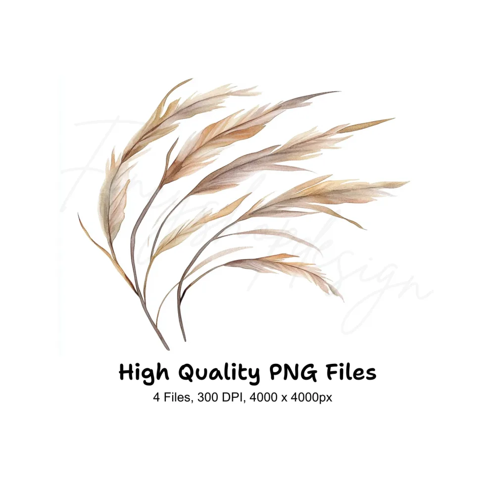 Pampas Grass Clipart Bundle